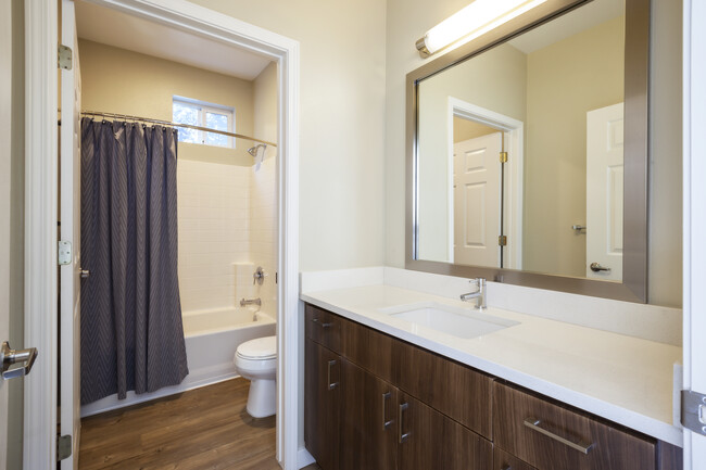 Premier Collection Bath with Quartz Countertops