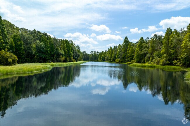 Enjoy some fishing or canoeing at Alafia River State Park.