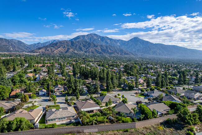 Bellgrove has a great view of Mt. San Antonio and the San Gabriel Mountain Range.