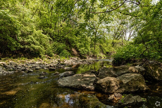 Nine Mile Run Creek runs through the Swisshelm Park community.