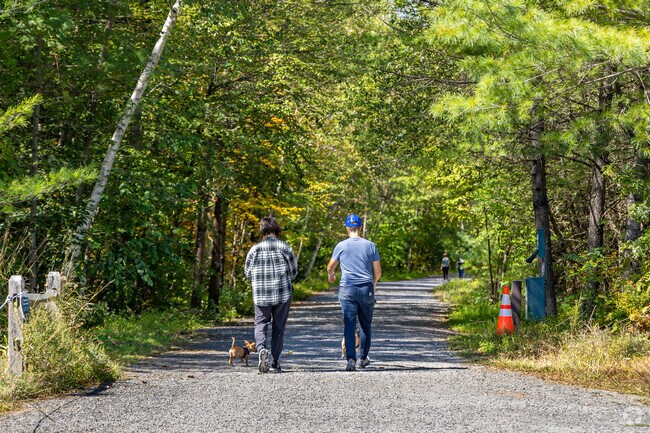 Take daily hikes with your loved ones to experience the magic of Zena, NY.