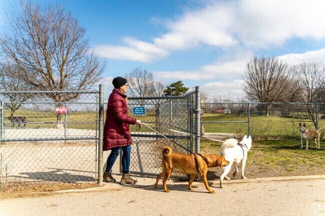 Pittsfield Township pet owners frequent the Swift Run Dog Park.