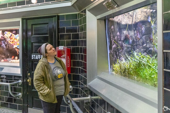 Riverbend residents can spend an afternoon at the nearby Belle Isle Aquarium.