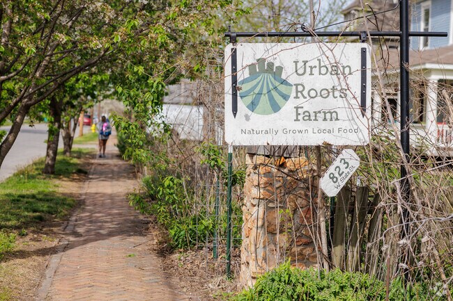 Residents in West Central have access to the Urban Roots Farm.