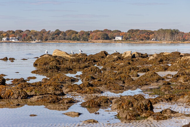 Rocky shores at Pope Beach often host seabirds overlooking Fairhaven’s calm waters.