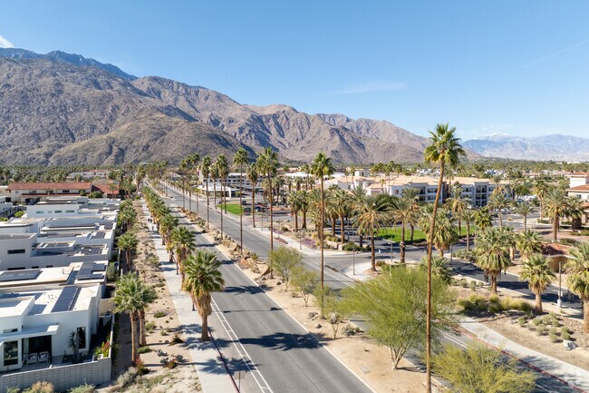 Palm trees lining up the streets in the Warm Sands community of Palm Springs, Ca.
