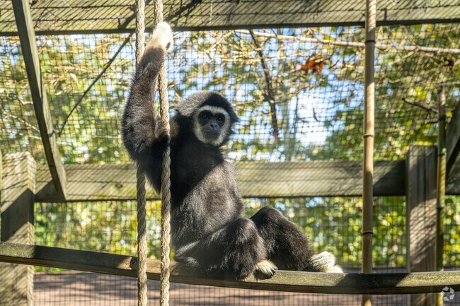 Near Hopewell Township, some residents at the Cohanzick Zoo exemplify the chill lifestyle.