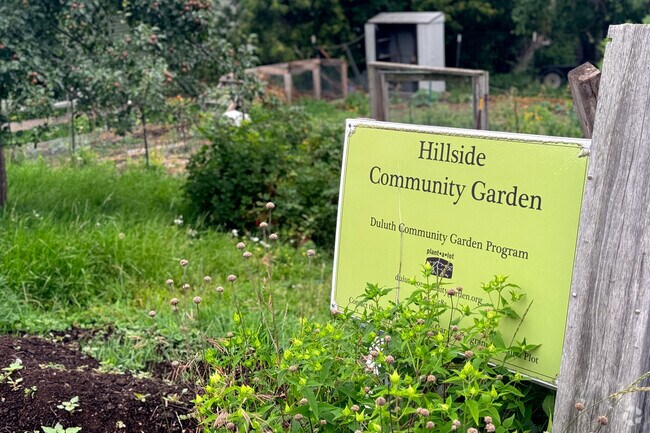 Hillside Community Gardens dot the streets of Central Hillside and Duluth Minnesota.