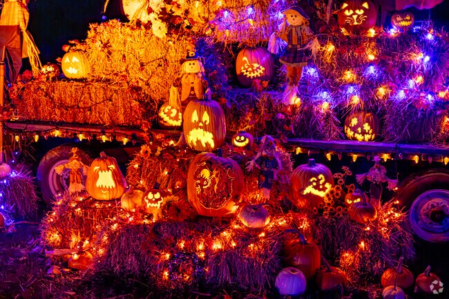 Massive displays of Jack-O'-Lanterns are everywhere at Jack-O'-Lantern Nights at the Racine Zoo.