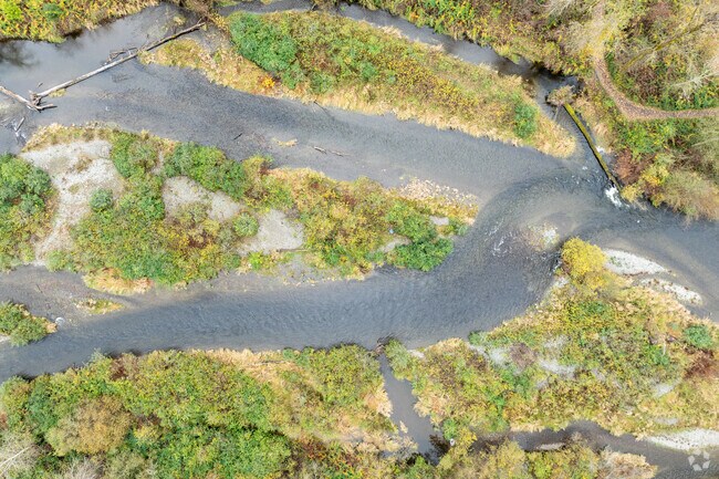 The Cedar River flows along the Maple Valley in Elliott.