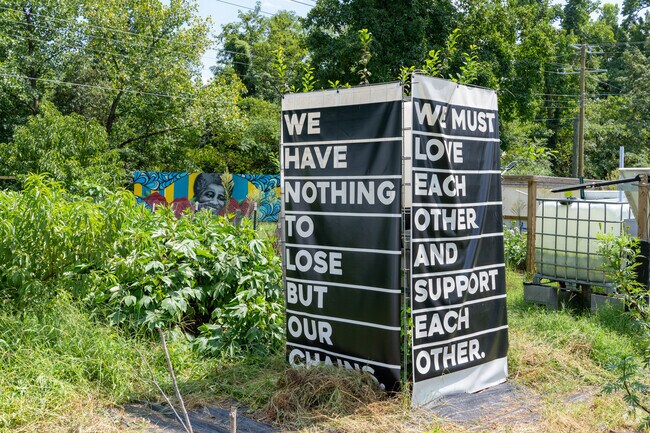 Sankofa Orchard offers a unique blend of community and cultivation in Westover Hills