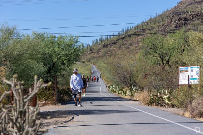 Barrio Viejo residents often challenge themselves at Tumamoc Hill, a very popular hiking spot.