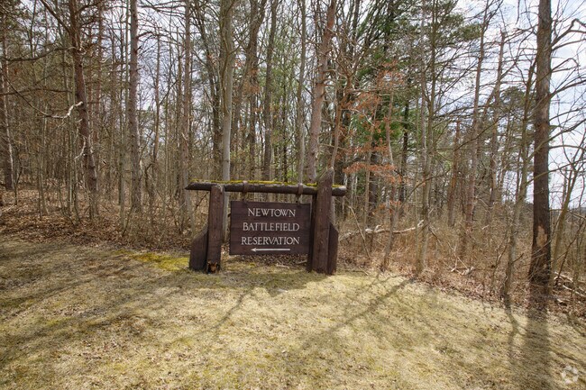The Newtown Battlefield is located along the eastern bank of the Chemung River, in western New York southeast of Elmira.