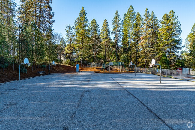 Kids practice basketball for physical education at Colfax Elementary School.