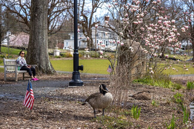 Peapack-Gladstone residents and waterfowl alike enjoy relaxing on a spring day at Liberty Park.