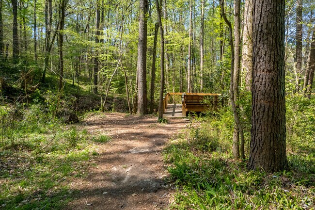 Creekside trails wind through Elwyn John Wildlife Sanctuary near Kittredge Park.