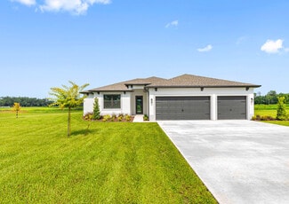 13408 Lake Gallagher Drive St Unit 37000990, Dover, FL 33527