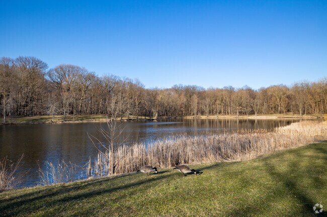 Go Fishing or observe waterfowl at Potawatomi Lake in Potawatomi Woods in Wheeling.