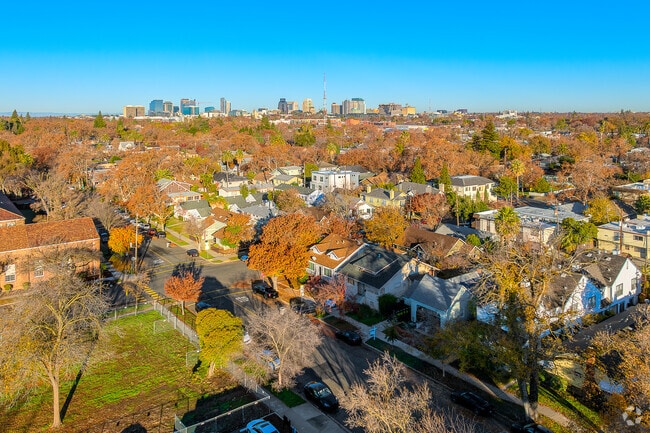 A row of homes sits peacefully along a street in Newton Booth.