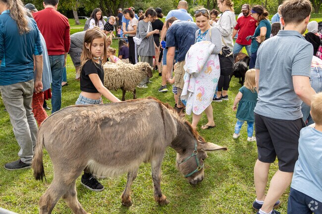 Roseville's Rosefest Party in the Park offers a kids petting zoo.