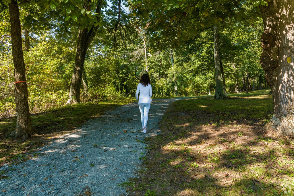 Locals explore wooded trails and scenic views at Susquehannock State Park in Martic Township.