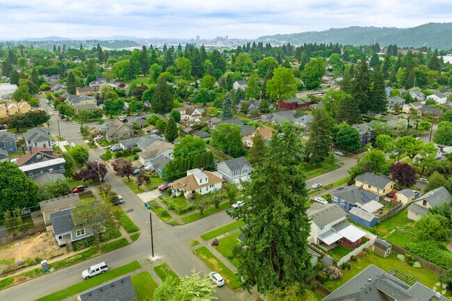 Aerial view of the lush University Park neighborhood.