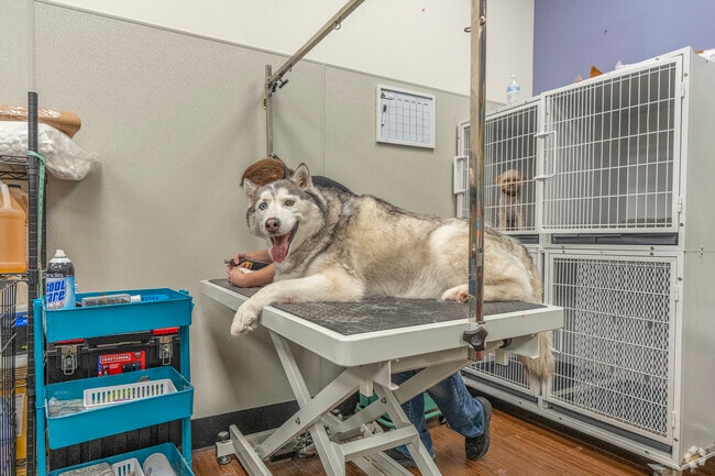 Bring your pup to Earthwise Pet store for expert grooming in the Wingspread neighborhood.