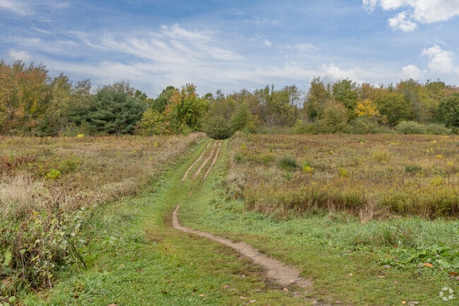 Silver Creek Metro Park in Hametown has an assortment of trails to hike.