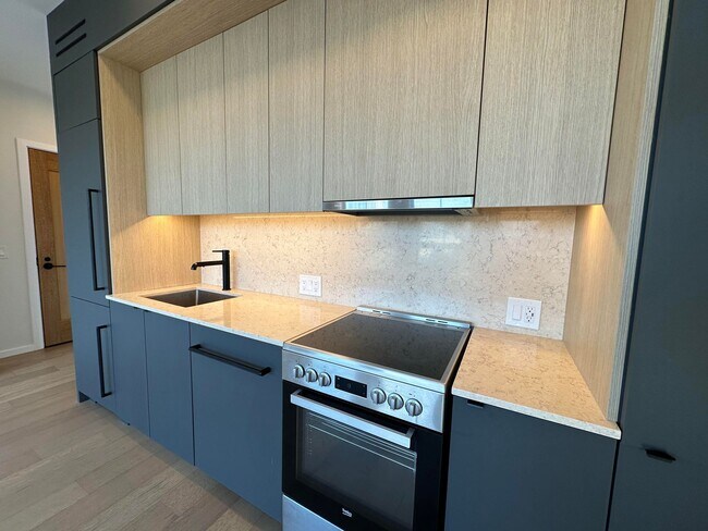 8 Burney St unit 407, Roxbury Crossing, MA 02120 - photo 4