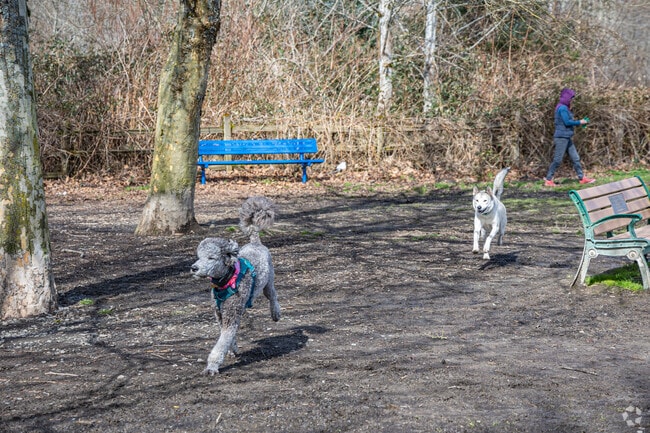 Three Forks Natural Area has mountain views, forested pathways and a dog park for Ellisville pet lovers.