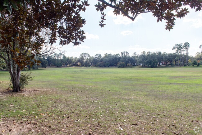 The field of Hilsman Park is a broad and gently sloped basin.