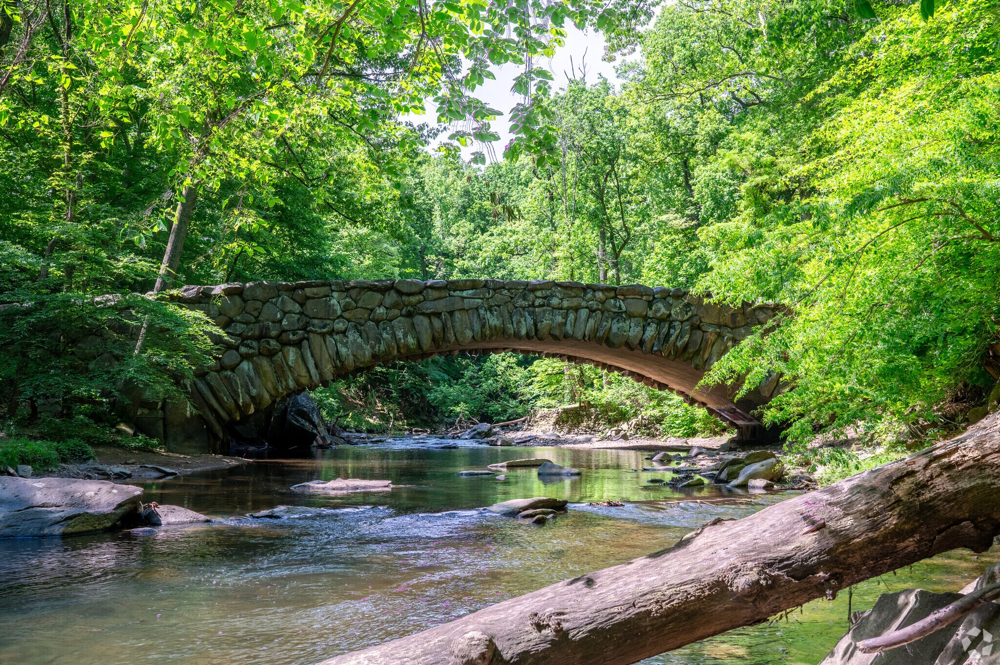 Crestwood residents can enjoy all the nature that Rock Creek Park has to offer.