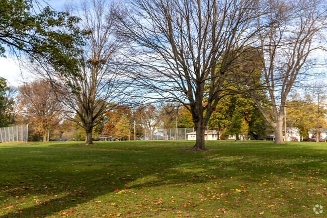 Dogs love the Edgewood Park in Edgewood District.