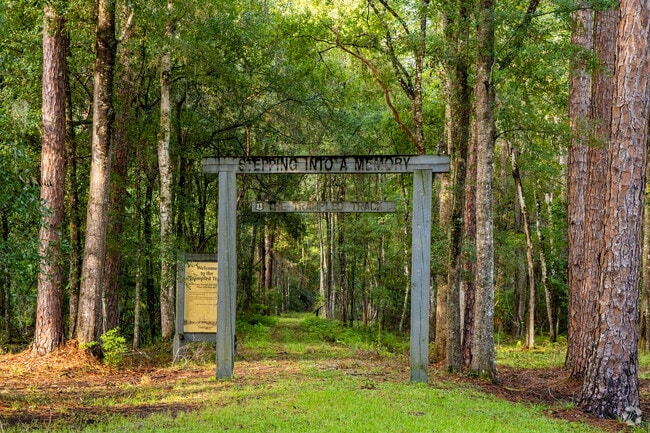 Walk the trails at Osceola National Forest and enjoy the rich history of the area.