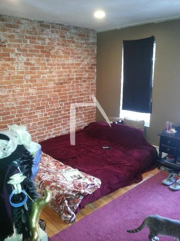 16 Alcott St unit 2, Boston, MA 02134 - photo 3