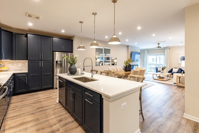 The Village Cabin Branch - Gatherings® at Cabin Branch, Clarksburg, MD 20871 - photo 6