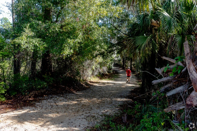 Hike under the shaded canopy of native trees in Palm Coast.