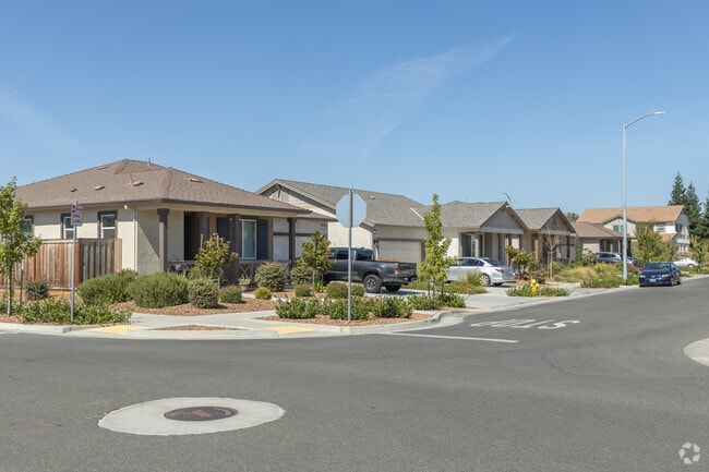 Yards in Northwest Chico are small and well maintained.