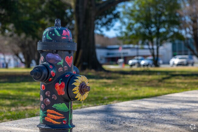 Unique fire hydrants brighten the community in Emmaus PA.