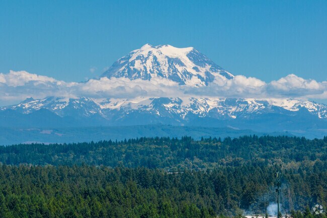 On clear days, Mt. Rainier can be seen from most of Frederickson.