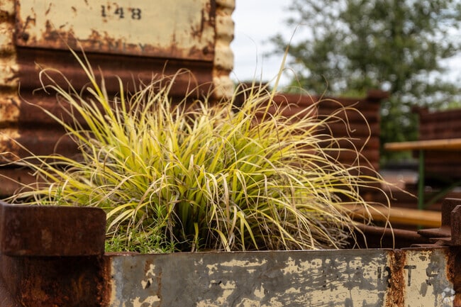 Double Oaks showcases abundant natural art and plant life in Charlotte, NC.