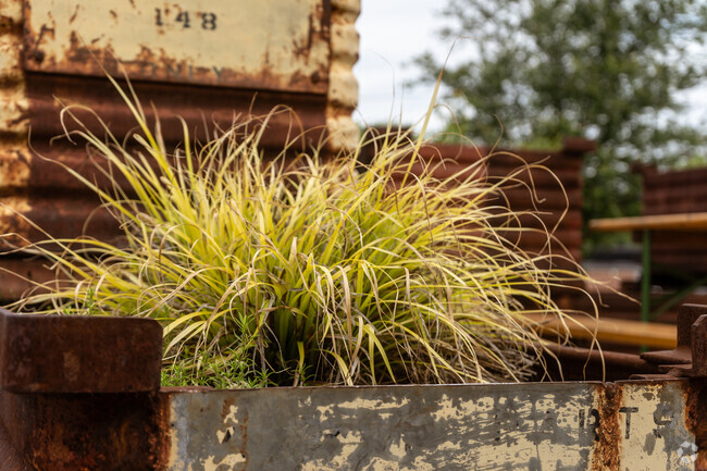 Double Oaks features a lot of natural art, and plants in Charlotte, NC.