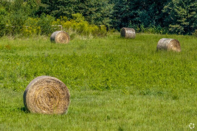 Along 271 in Owentown is rolling land of farms adding to the rustic charm of the area.