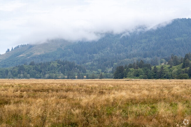 Take in the sunning views of Cascade Head Park and trails.