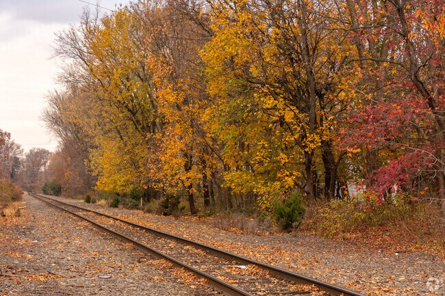 Golden leaves and cool breezes make fall a stunning time in Sewaren.