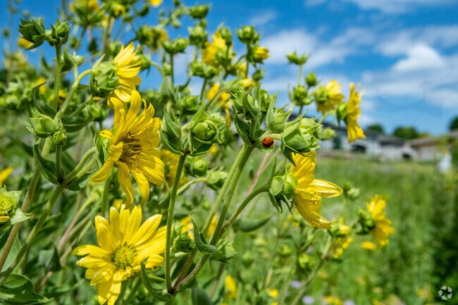 Waunakee has over a dozen parks for nature-lovers to enjoy.