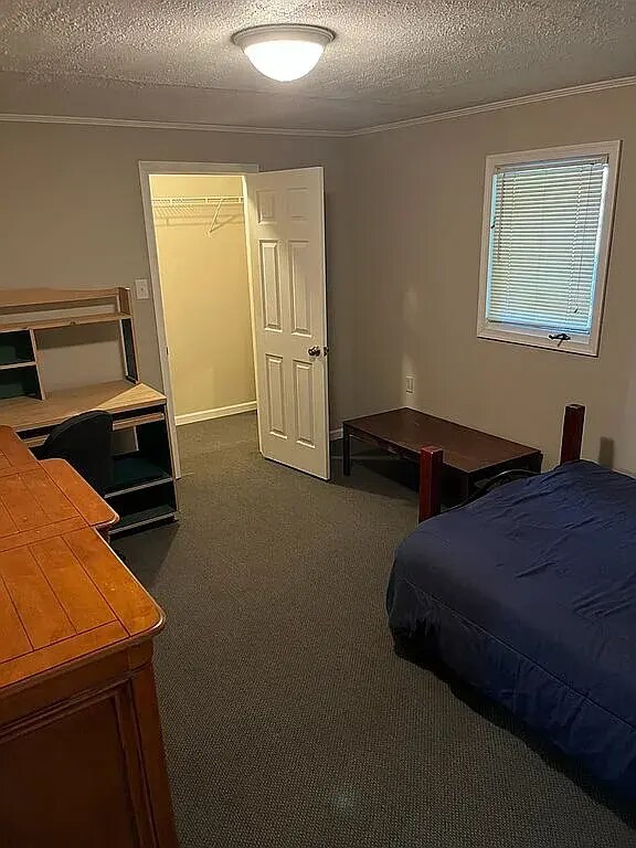 2368 Bateman Bridge Rd unit Our Nest, Forest, VA 24551 - photo 6