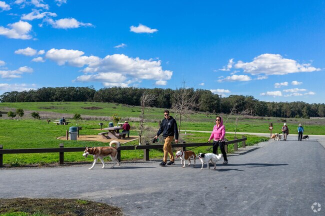 Tara Hills locals love to take their furry friends for a walk through Point Pinole.