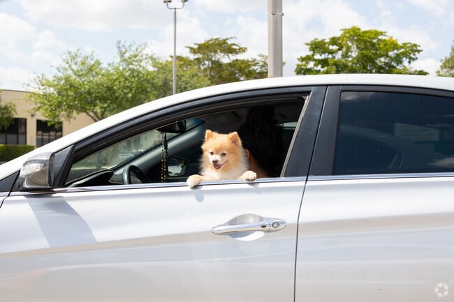 You will never know who will look at you while driving down the streets in Palmetto Lakes.