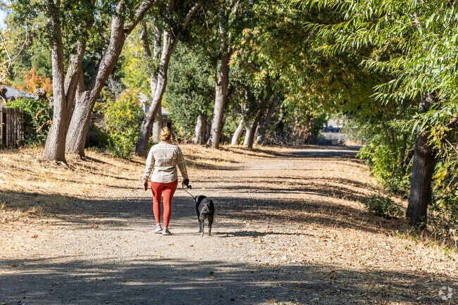 Tree-lined paths make excellent dog walking excursions throughout Vista Diablo neighborhood.